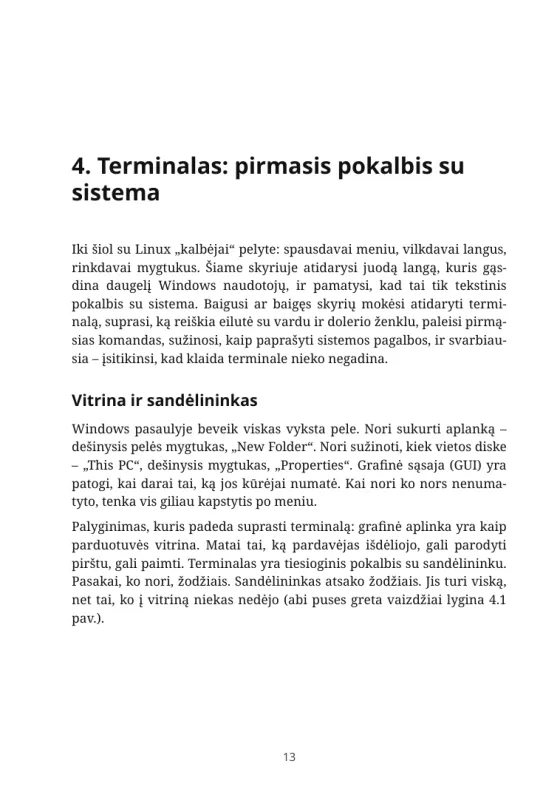 Ištraukos puslapis: 4 skyriaus pradžia