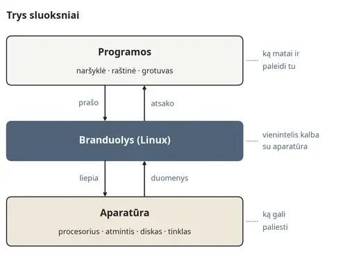 Trys sluoksniai: programos, branduolys ir aparatūra