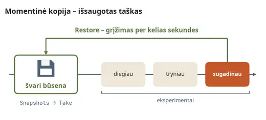 Momentinė kopija – taškas, į kurį visada gali grįžti