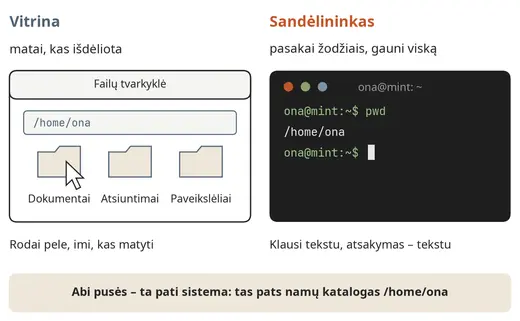 Vitrina ir sandėlininkas: grafinė sąsaja ir terminalas