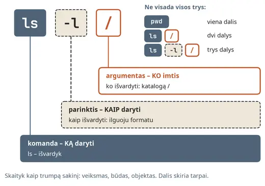 Komandinės eilutės dalys: komanda, parinktys, argumentai