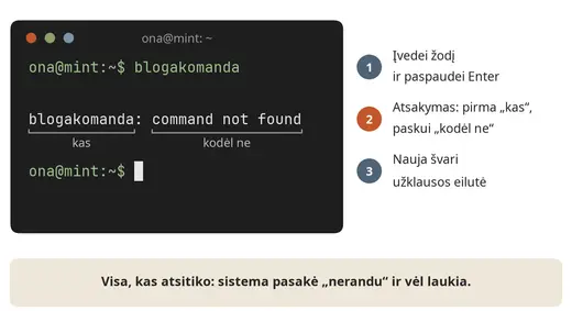 Terminalas po klaidos: sistema pasako, kas negerai