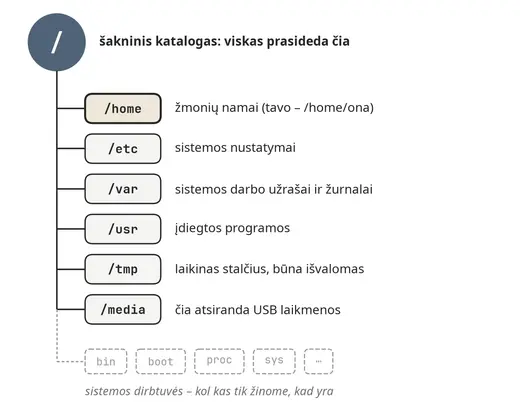 Failų sistemos medis ir pagrindiniai katalogai