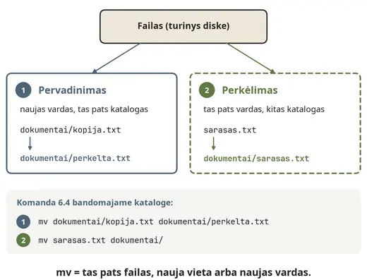 Komanda mv: pervadinimas ir perkėlimas
