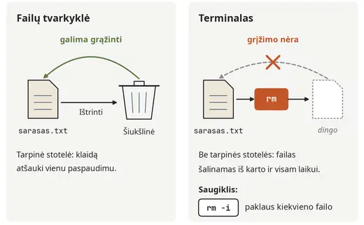 Šiukšlinė ir rm: kas grįžta, o kas ne