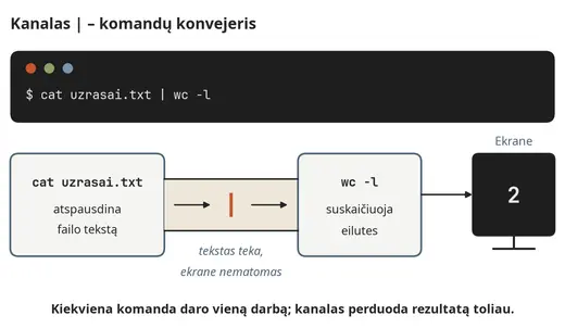 Kanalas: cat perduoda tekstą komandai wc