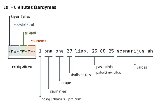 Eilutės iš ls -l išvesties išardymas