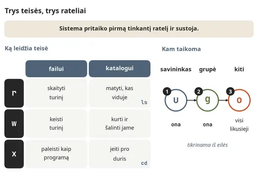 Trys teisės ir trys rateliai