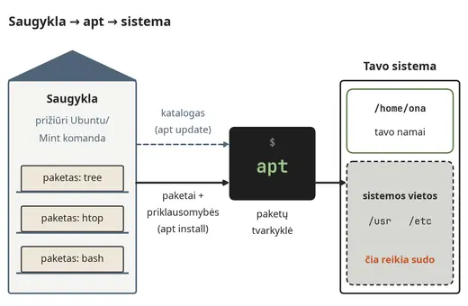 Iš saugyklos per apt į sistemą