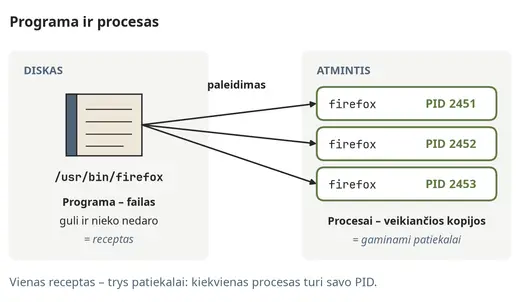 Viena programa – keli procesai