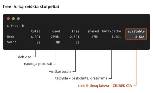 Kaip skaityti free -h išvestį