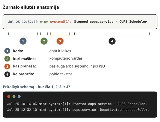 Žurnalo įrašo anatomija
