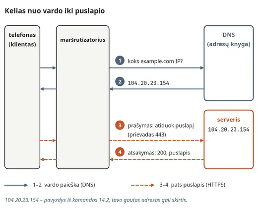 DNS kelias nuo vardo iki puslapio