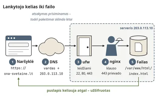 Lankytojo kelias iki svetainės failo