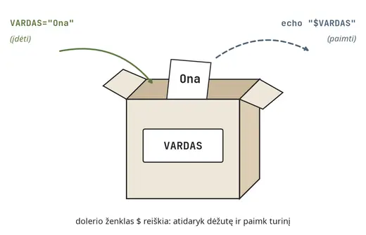 Kintamasis – dėžutė su etikete