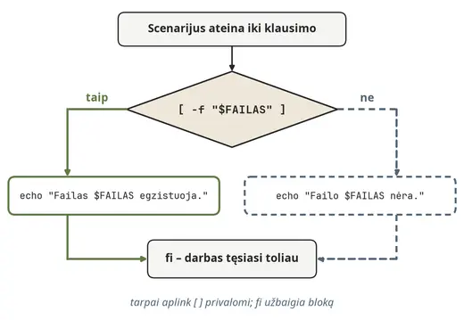 Sąlyga if: dvi galimos šakos
