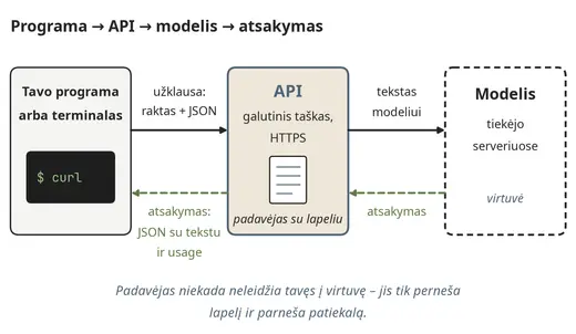 Kelias nuo programos per API iki modelio ir atgal