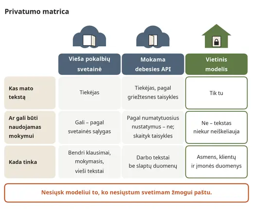 Privatumo palyginimas: vieša svetainė, mokama API, vietinis modelis