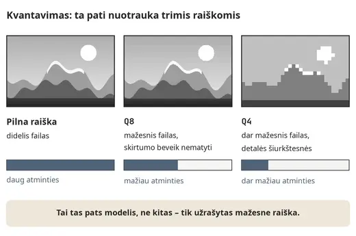 Kvantavimas: tas pats vaizdas skirtinga raiška