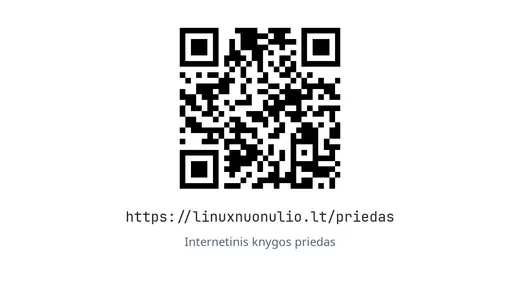 Internetinio priedo QR kodas